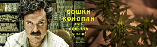 стаф Инта