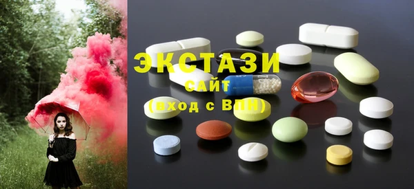 стаф Инта
