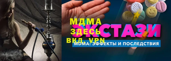 стаф Инта