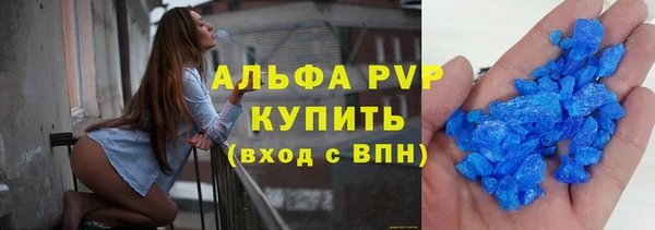 стаф Инта