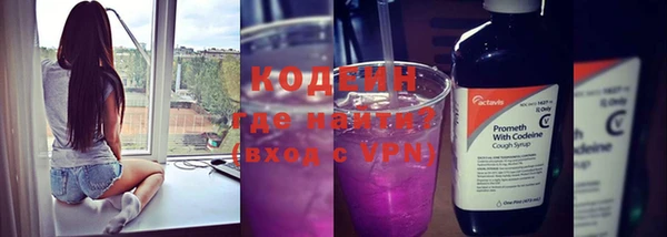 стаф Инта