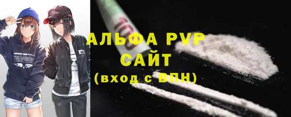 спиды Иннополис