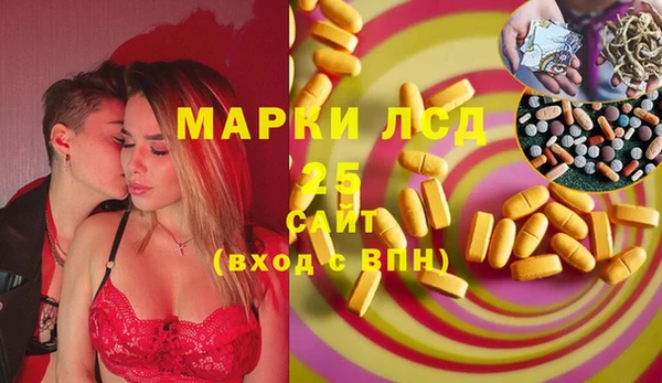 стаф Инта