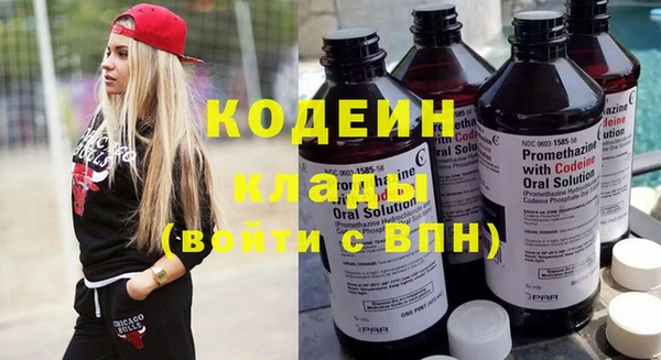 стаф Инта