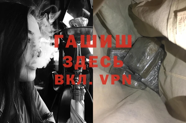 стаф Инта