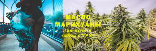 стаф Инта